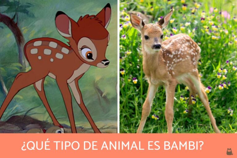 El misterio detrás de Bambi: ¿Qué animal es realmente?