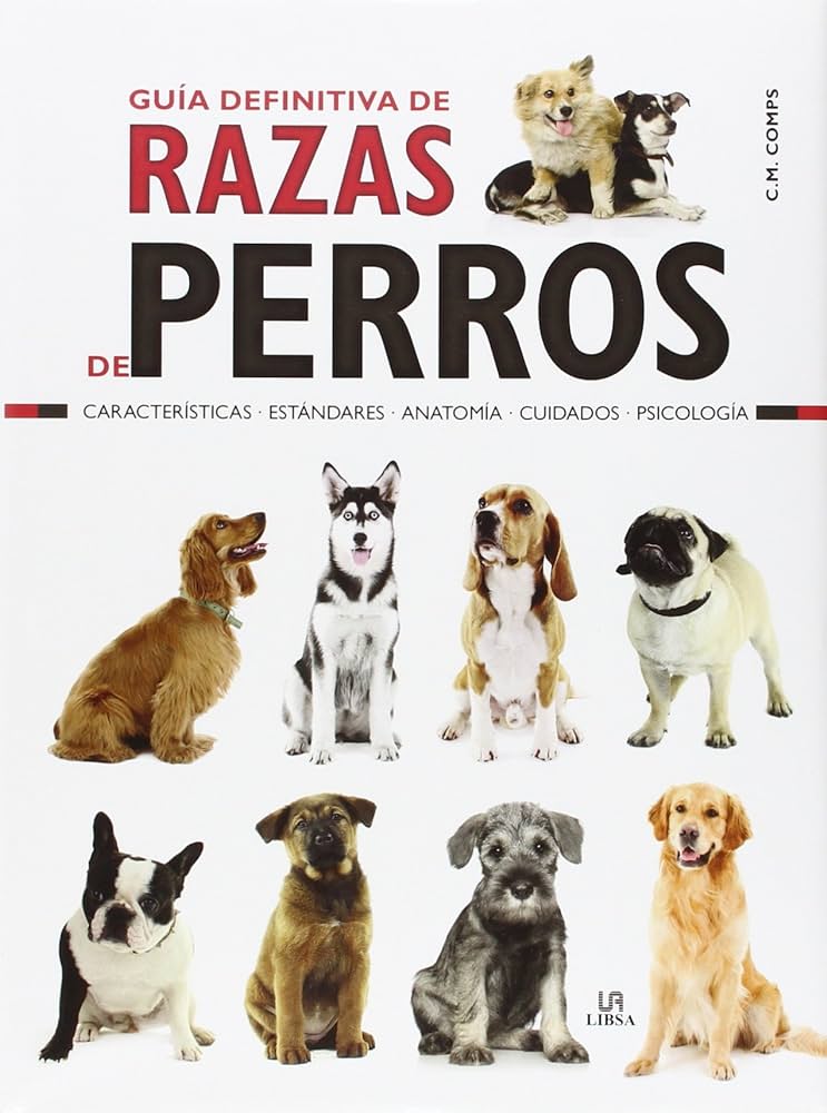 Komondor: La guía definitiva de razas de perros