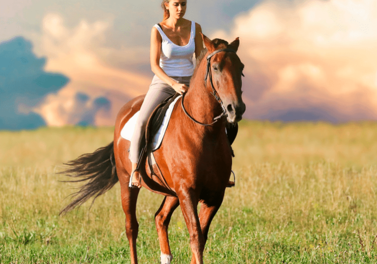 Las increíbles razas de caballos americanos: descubre su elegancia y fortaleza