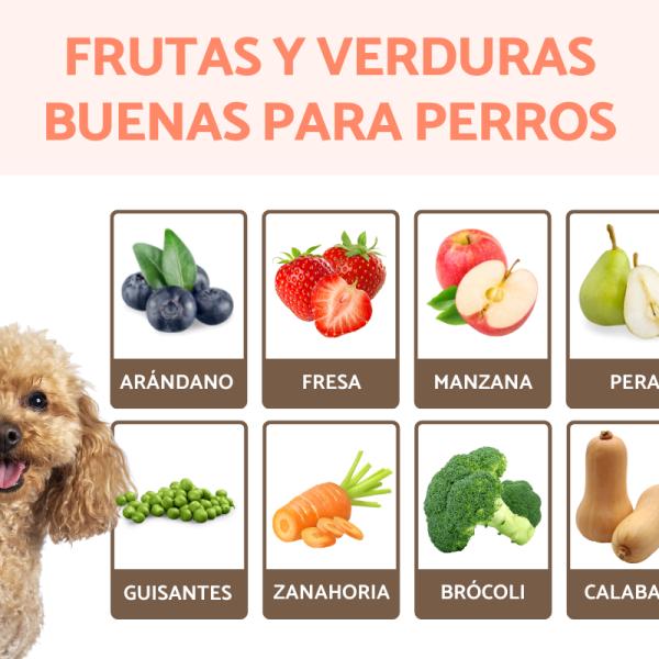 Las mejores opciones de verduras y frutas para perros