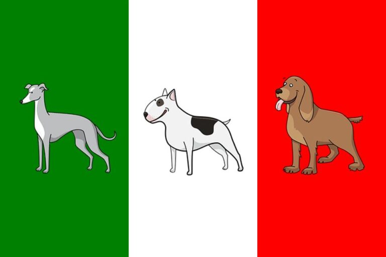 Los mejores nombres italianos para perros machos y hembras