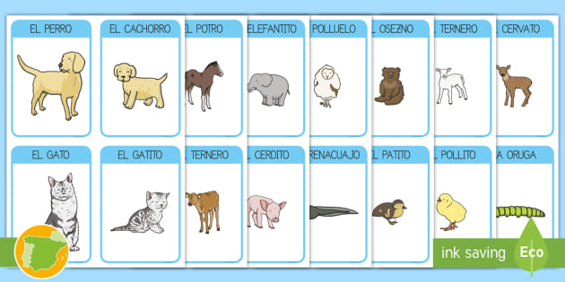 Nombres de crías de animales con fotos: Una guía completa