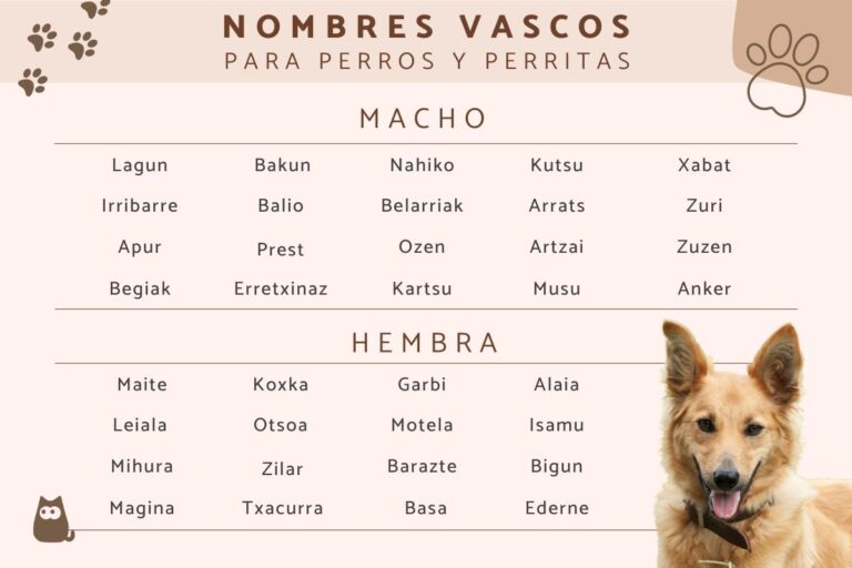 Nombres de perro en euskera: La mejor lista de nombres euskaldunes para tu mascota