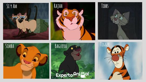 Nombres de personajes Disney para gatos: ¡Elige el perfecto!