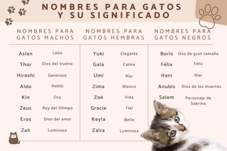 Significados únicos para nombres de gatos