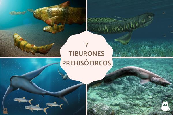 Tiburones prehistóricos: ejemplos extintos y vivos revelados